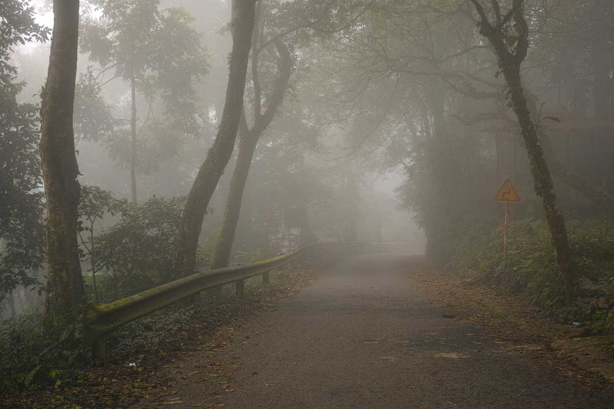 Foggy Road in Ba Vi National Park Vietnam