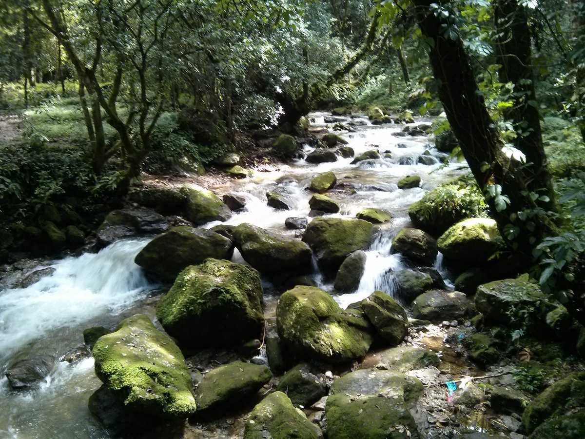 Sundarijal, Hiking in Nepal