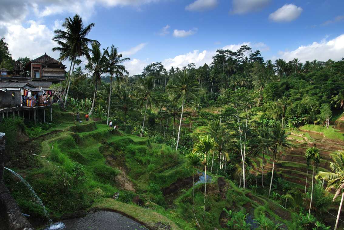 Tegalalang Rice Terraces Bali