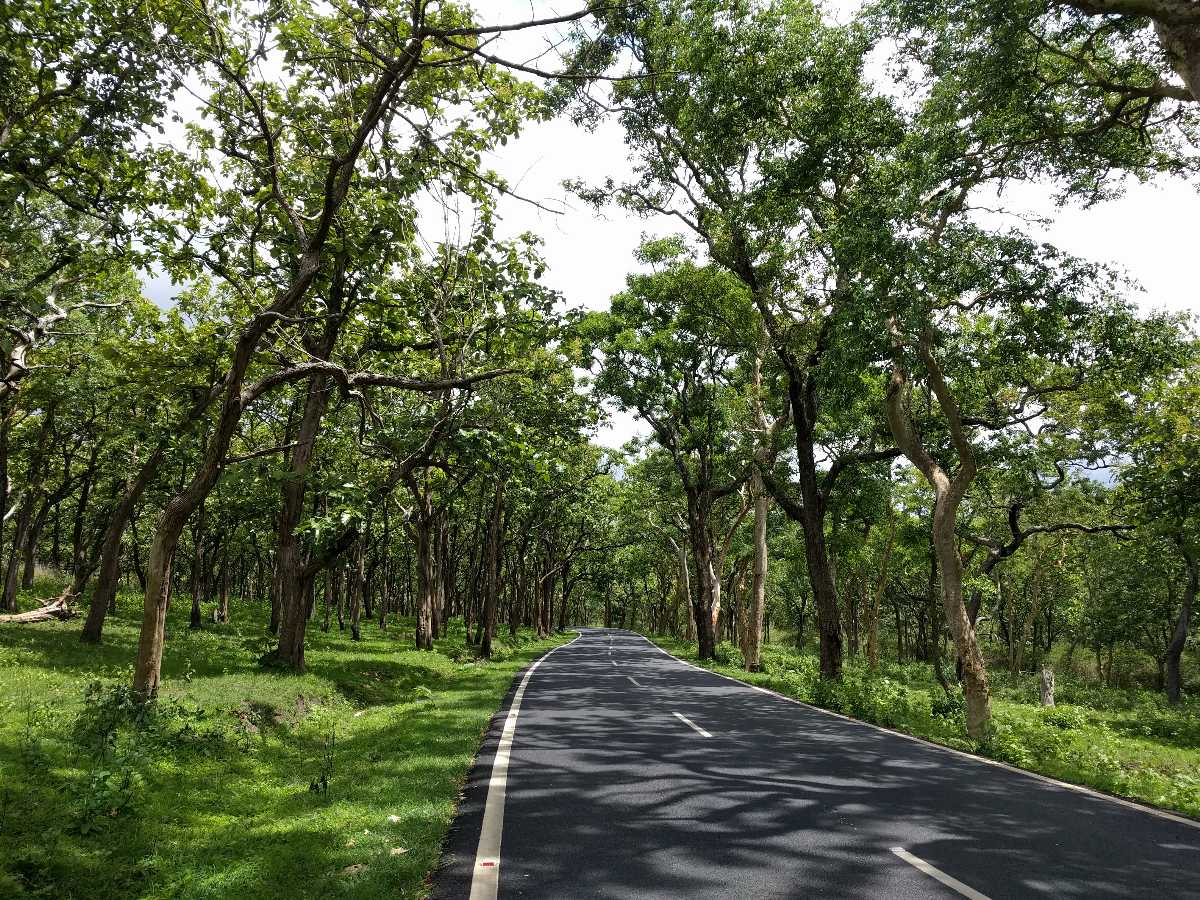 Bandipur Park