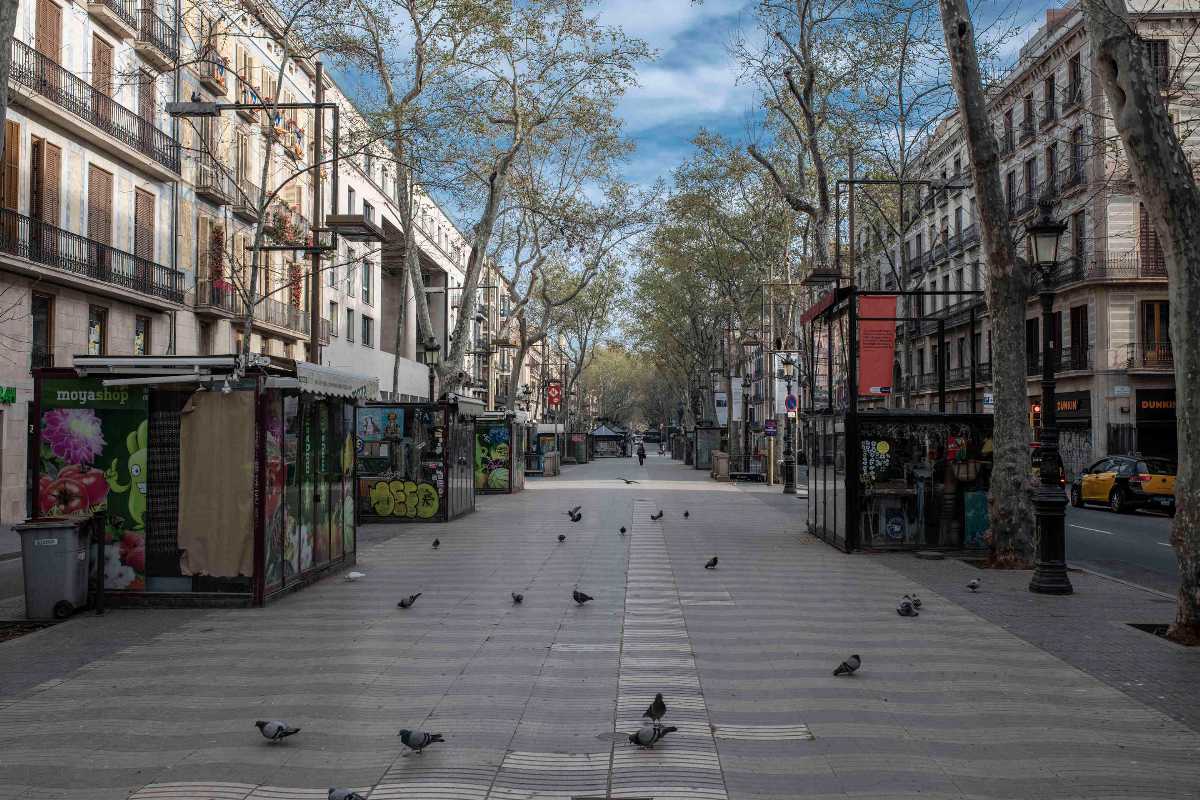 Pigeons had Las Ramblas to themselves.