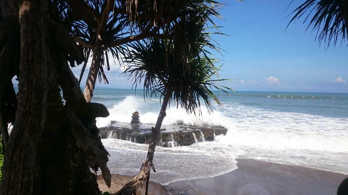 Batu Bolong Beach, Bali | Swimming, Surfing, Food | Holidify