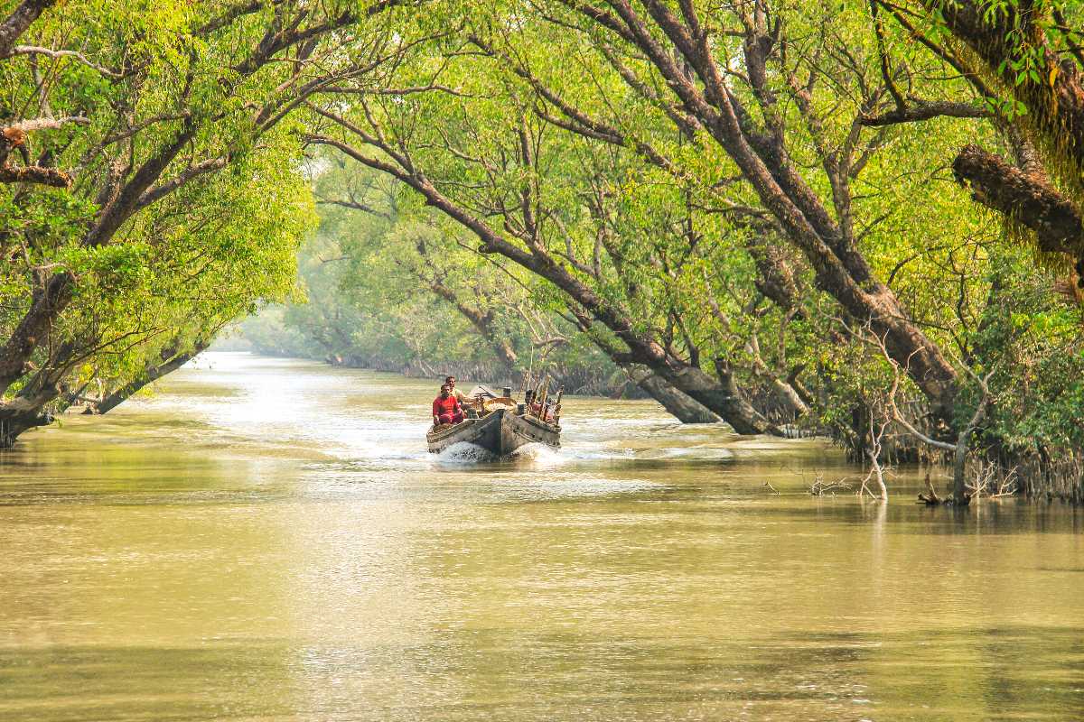 sundarban tourist boat point