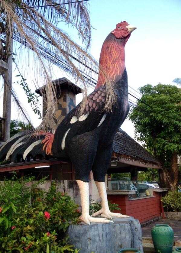 Giant Chicken Statue at Big Chicken Halal Restaurant in Phuket