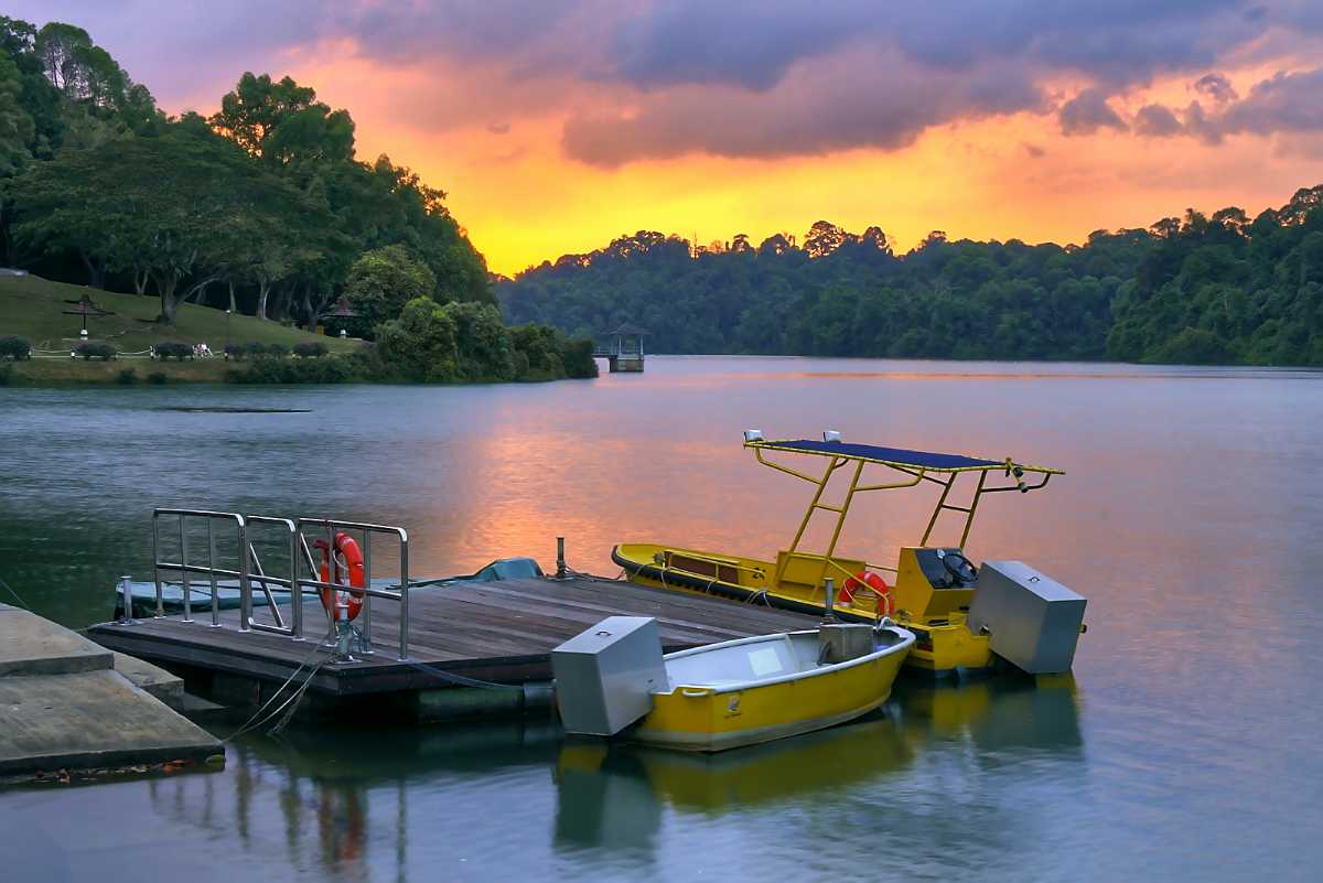 MacRitchie Reservoir Singapore