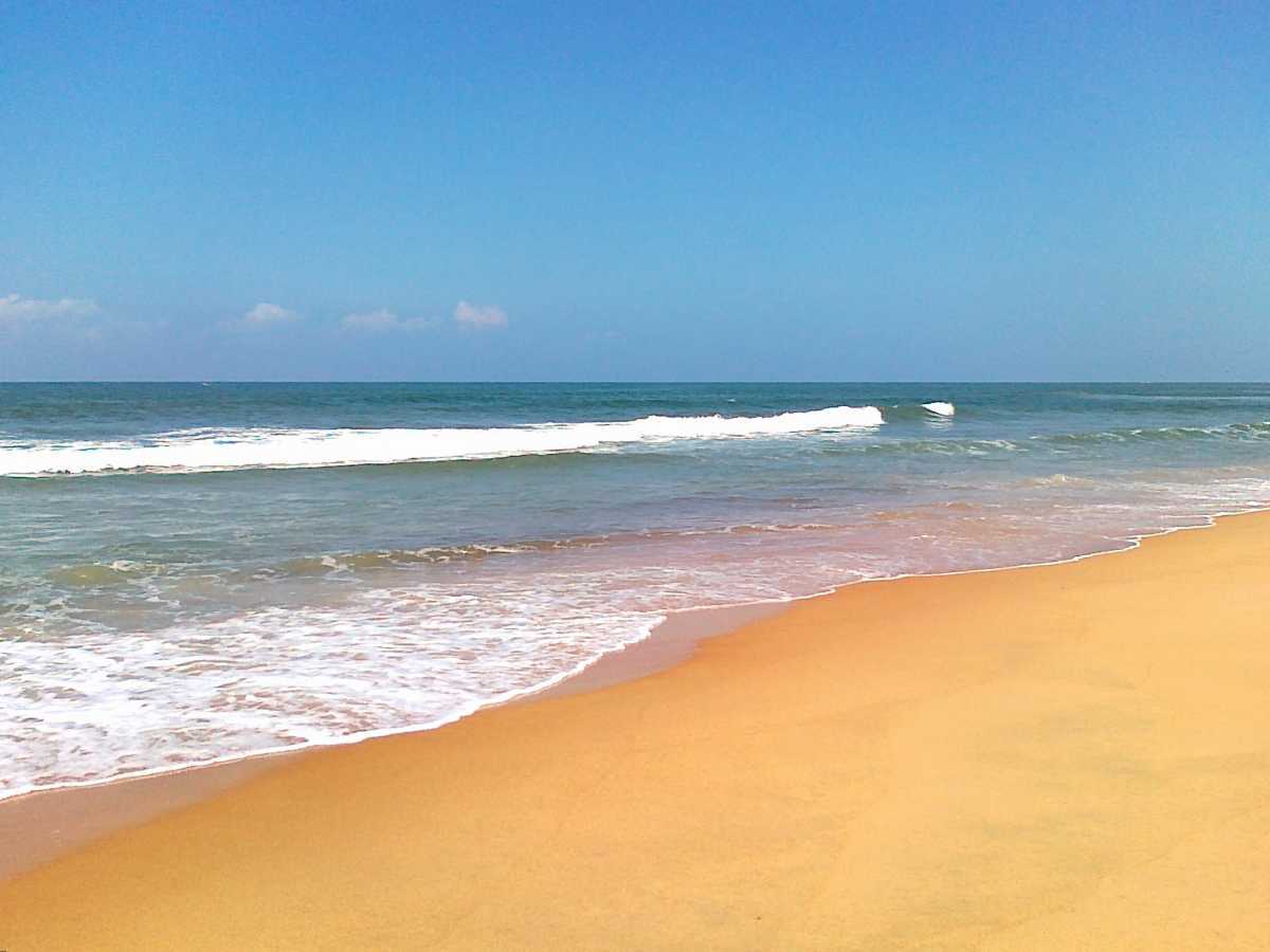  Candolim Beach 