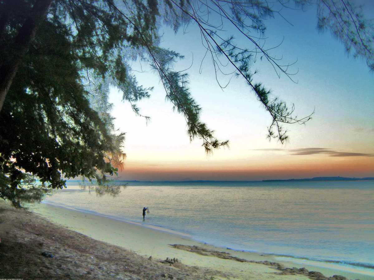 Changi Beach Park, Fishing in Singapore