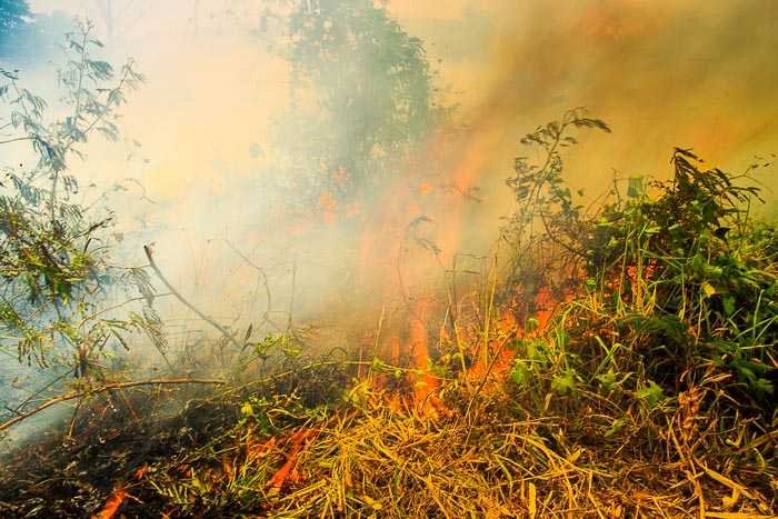 Burning Season In Chiang Mai