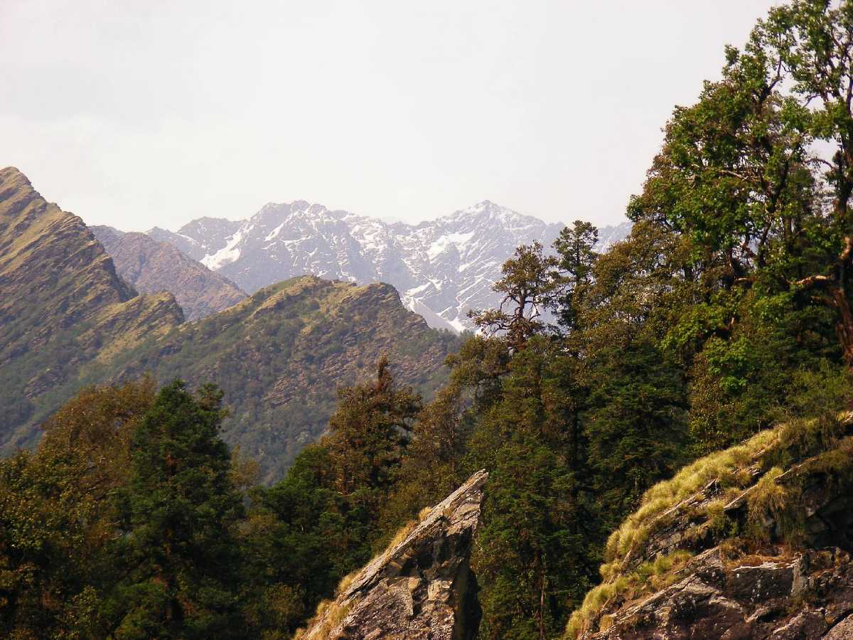 Chopta Bugyal