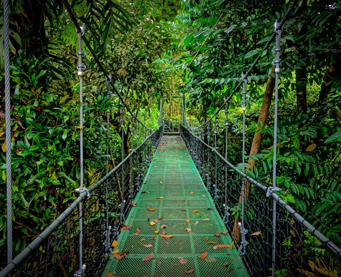 Suspension Bridge to reach Cockpit Cottage