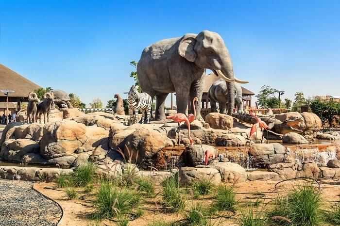 dubai safari park show timings