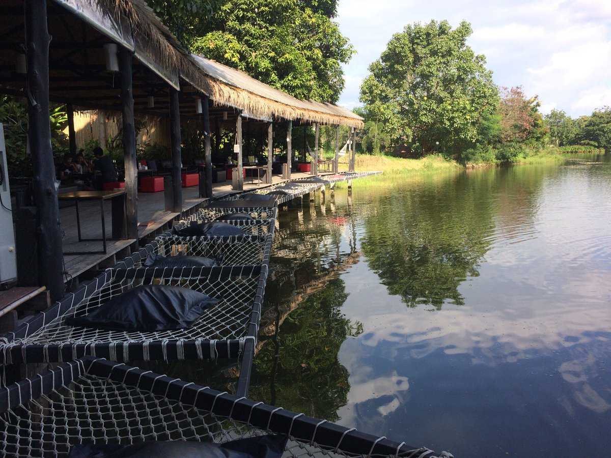 Phuffin In The Lake, Coffee In Chiang Mai