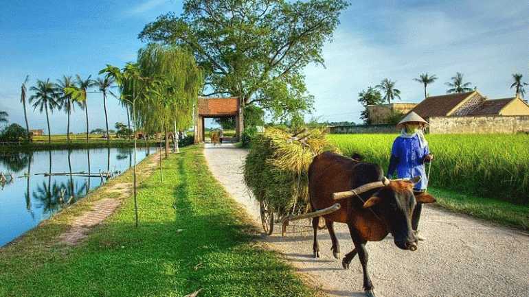 Duong Lam Ancient Village Hanoi VIetnam