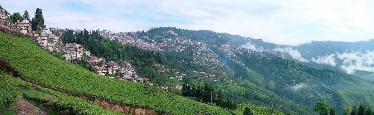 Darjeeling in Summer