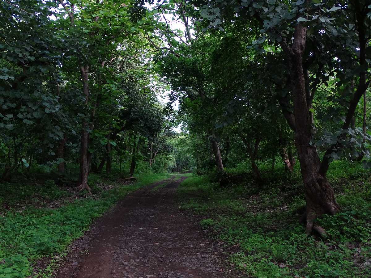 Gugamal National Park