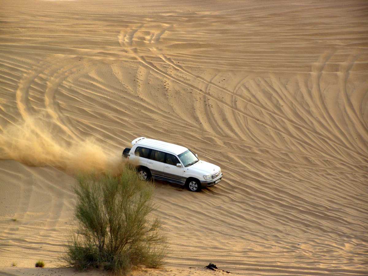 Desert Safari