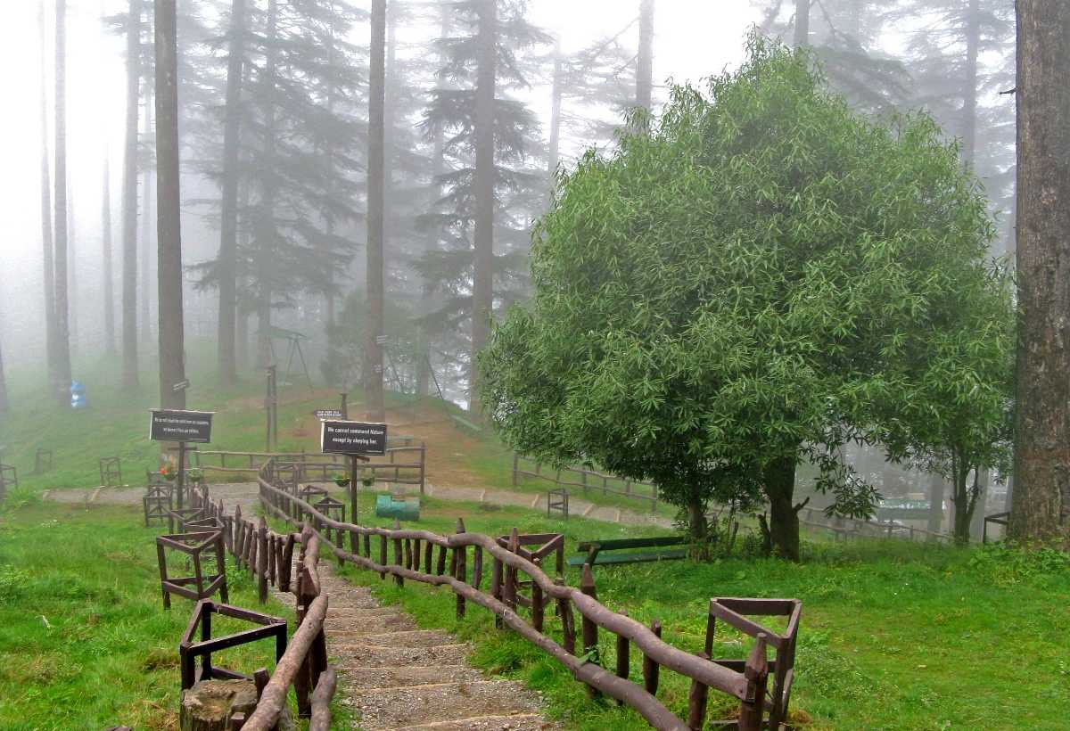 Eco Park - Best Places to Visit in Dhanaulti