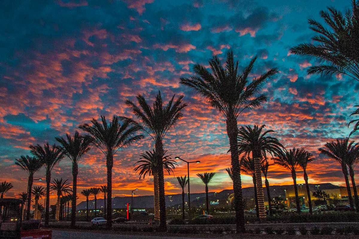 Las Vegas in December Where to Go Travel Tips