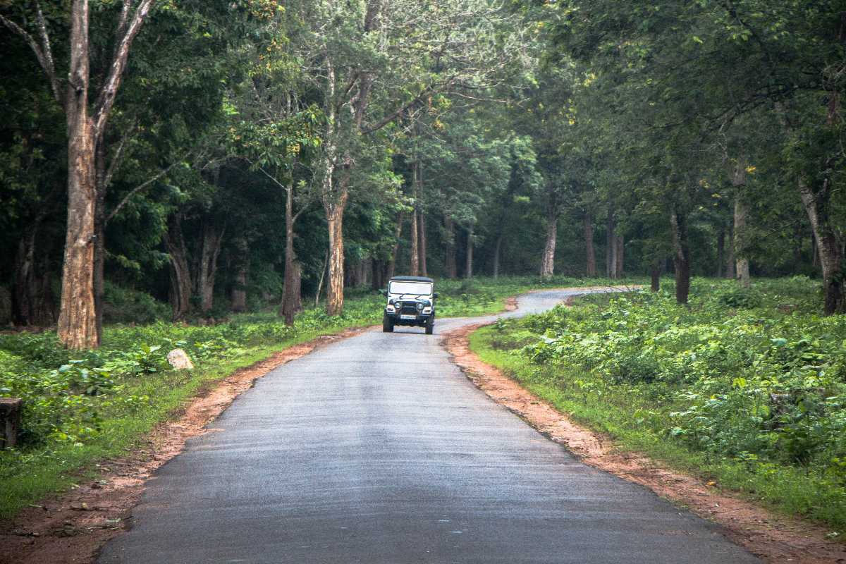 Road Conditions in Coorg