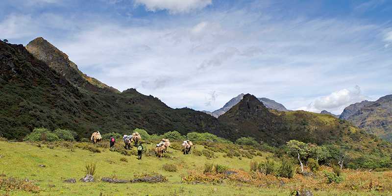 Druk Path Trek