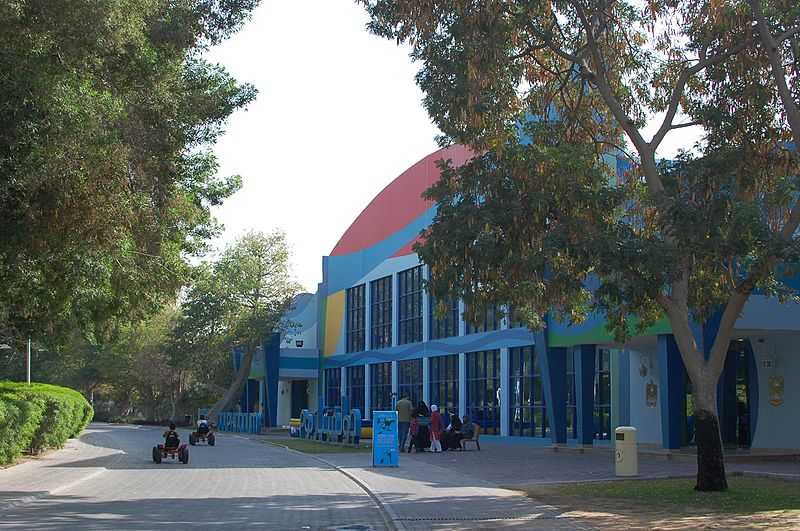 Children's City, Dolphinarium