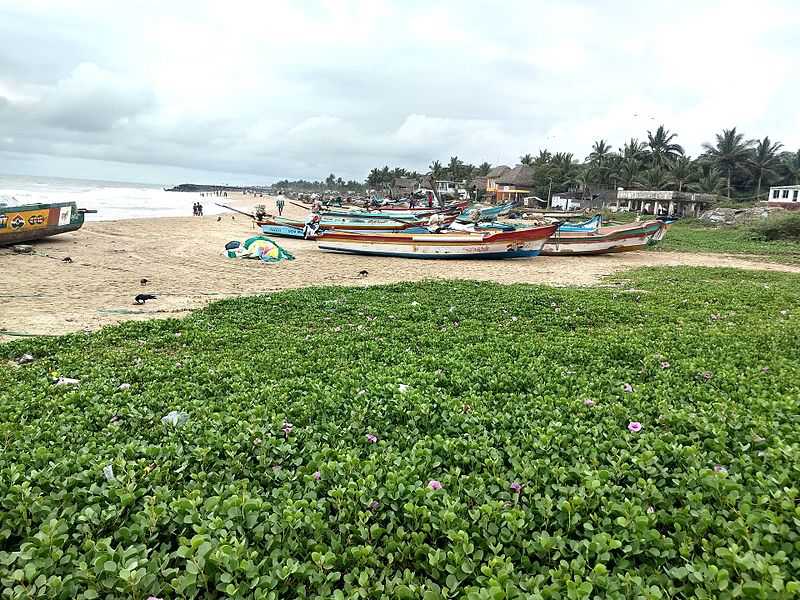 Serenity Beach, Pondicherry - Holidify