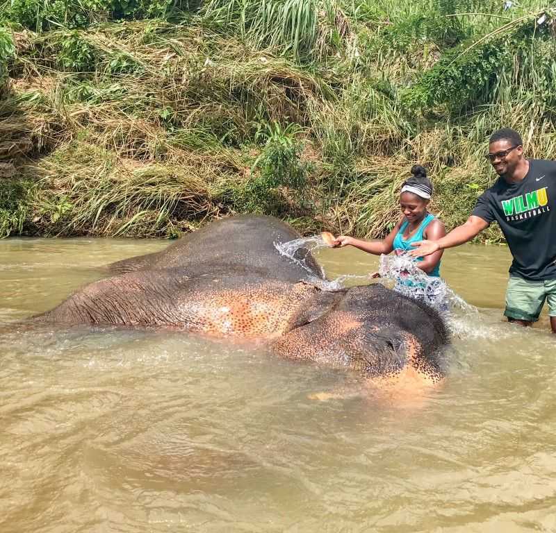 Elephant Freedom Project, Elephants in Sri Lanka