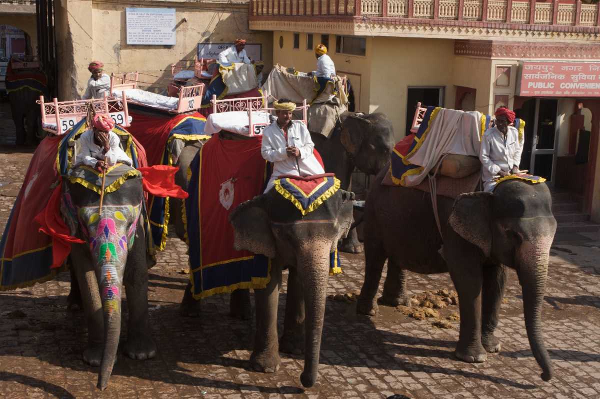 Elephant Ride in Jaipur