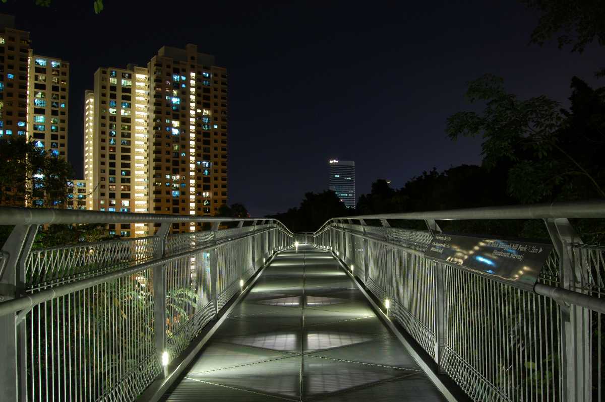 Southern Ridges Forest Walk