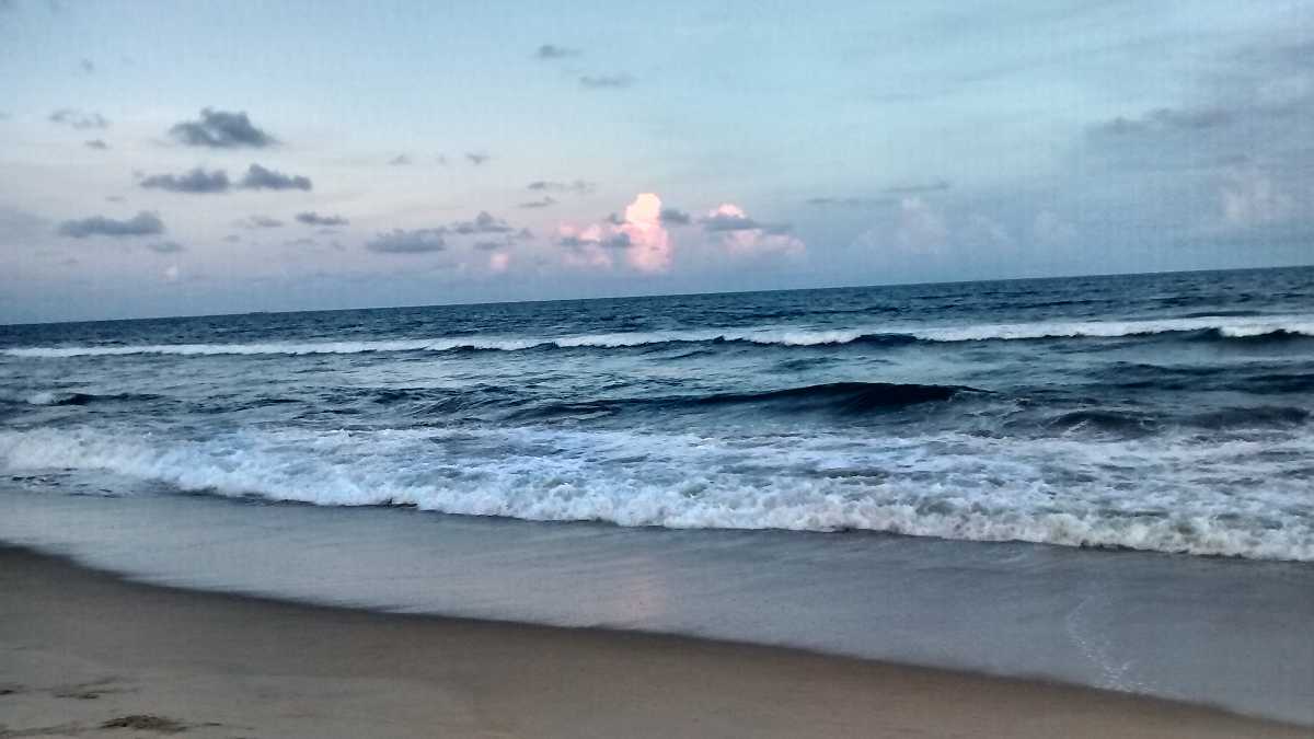 Image result for elliot’s beach
