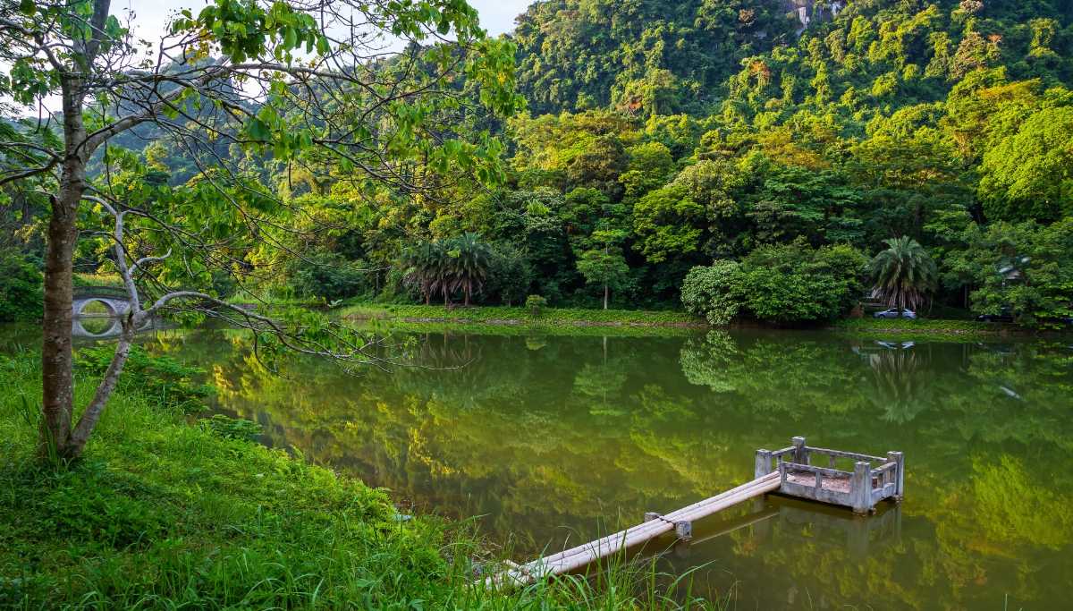 Cuc Phuong National Park, Nature Trekking in Vietnam