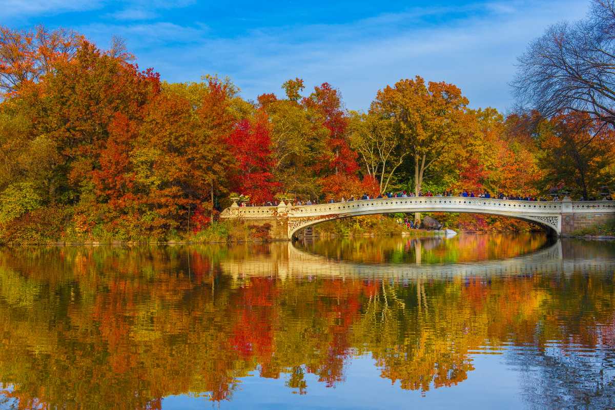 New York City in October Things to Do, Events and More!