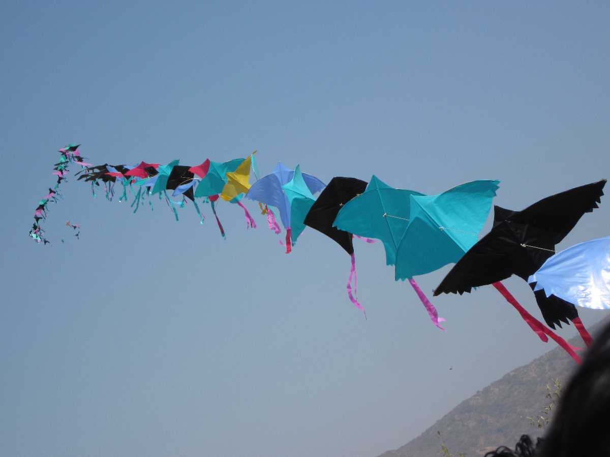 Kite Festival, Jaipur