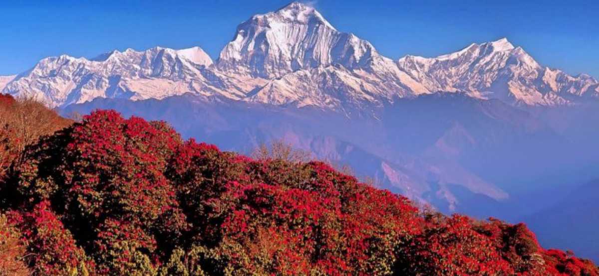 Poon Hill, Beautiful Places of Nepal for visit