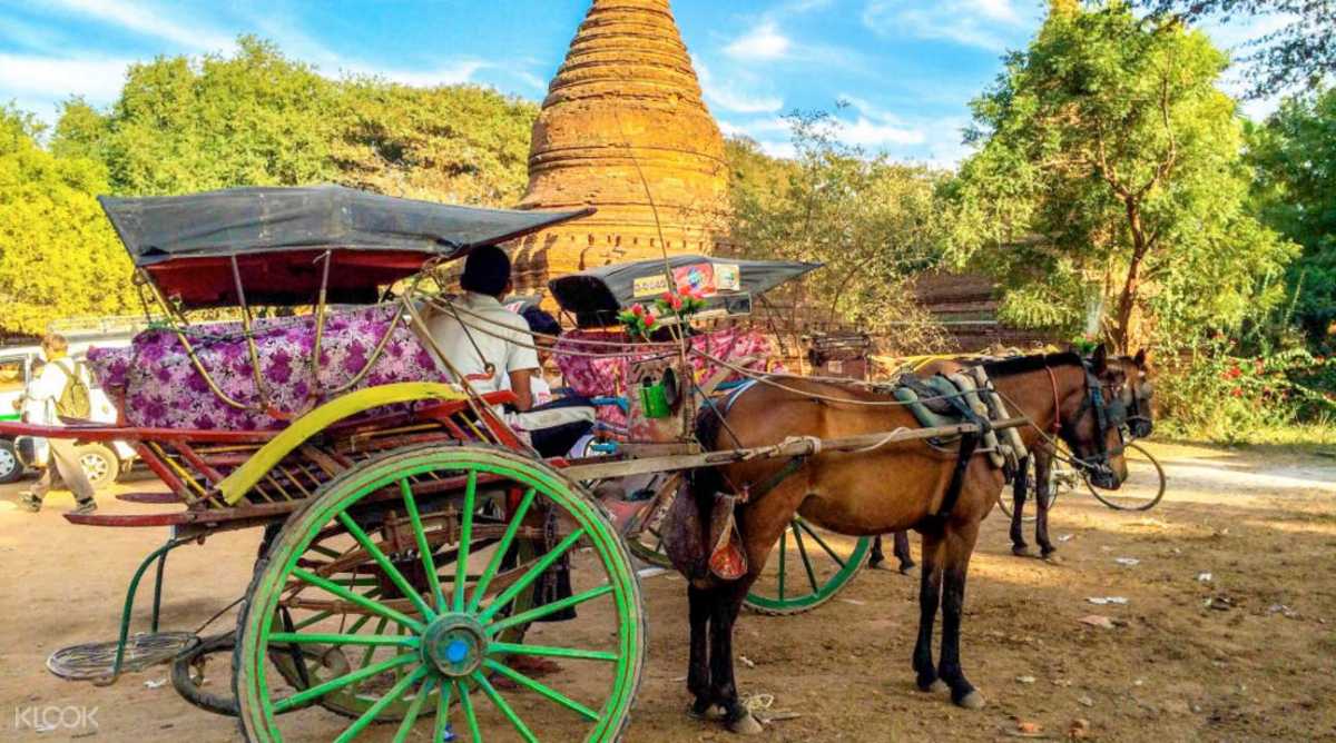 Horse Cart Ride