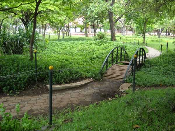 romantic places in chennai, guindy national park