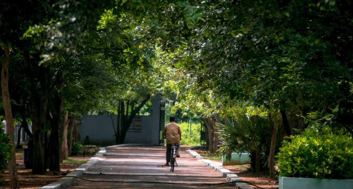 Guindy National Park, Chennai