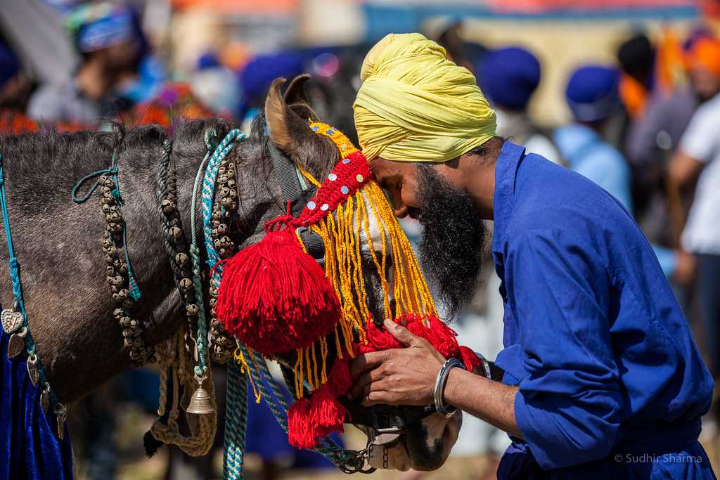 Hola Mohalla 2024 Dates, Festivities, Venue