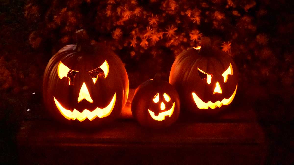 11 Ways to Do Halloween 2022 Around Boston, halloween