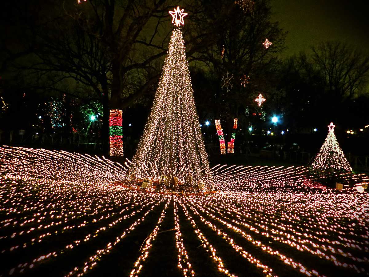 Christmas in Dallas 20 Places for Boosting the Holiday Spirit!