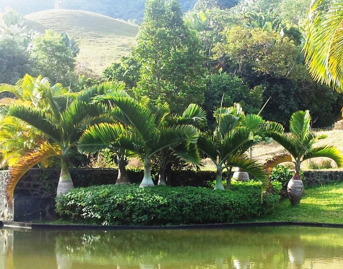 Vallee de Ferney, Mauritius Attractions Holidify