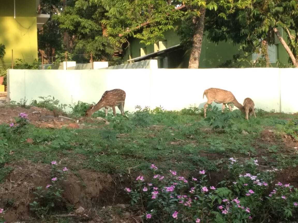 Nagarhole National Park