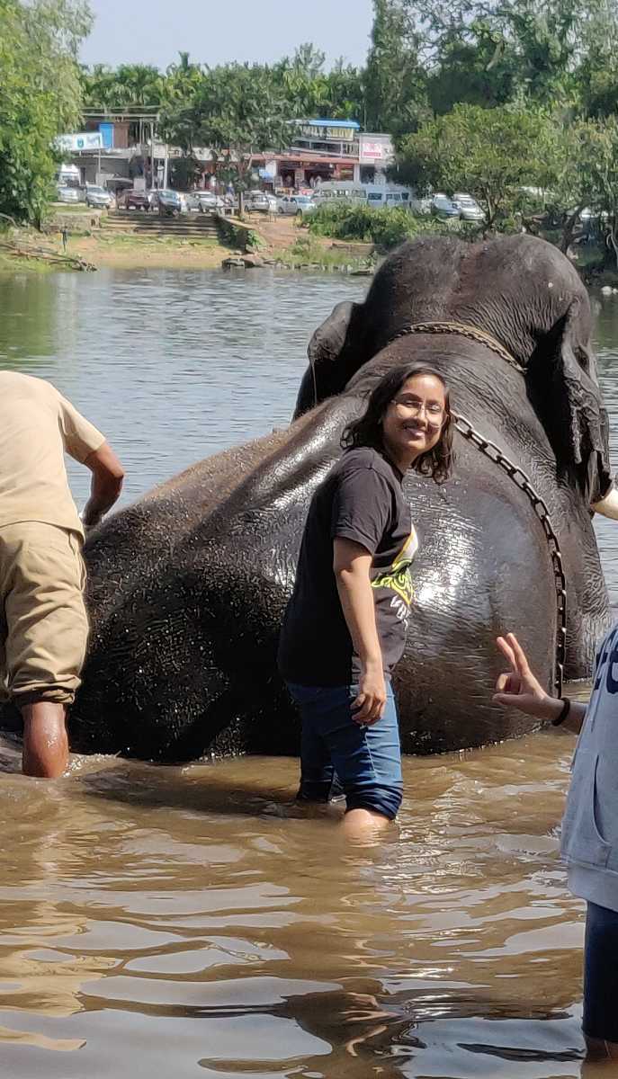 Elephant Reserve