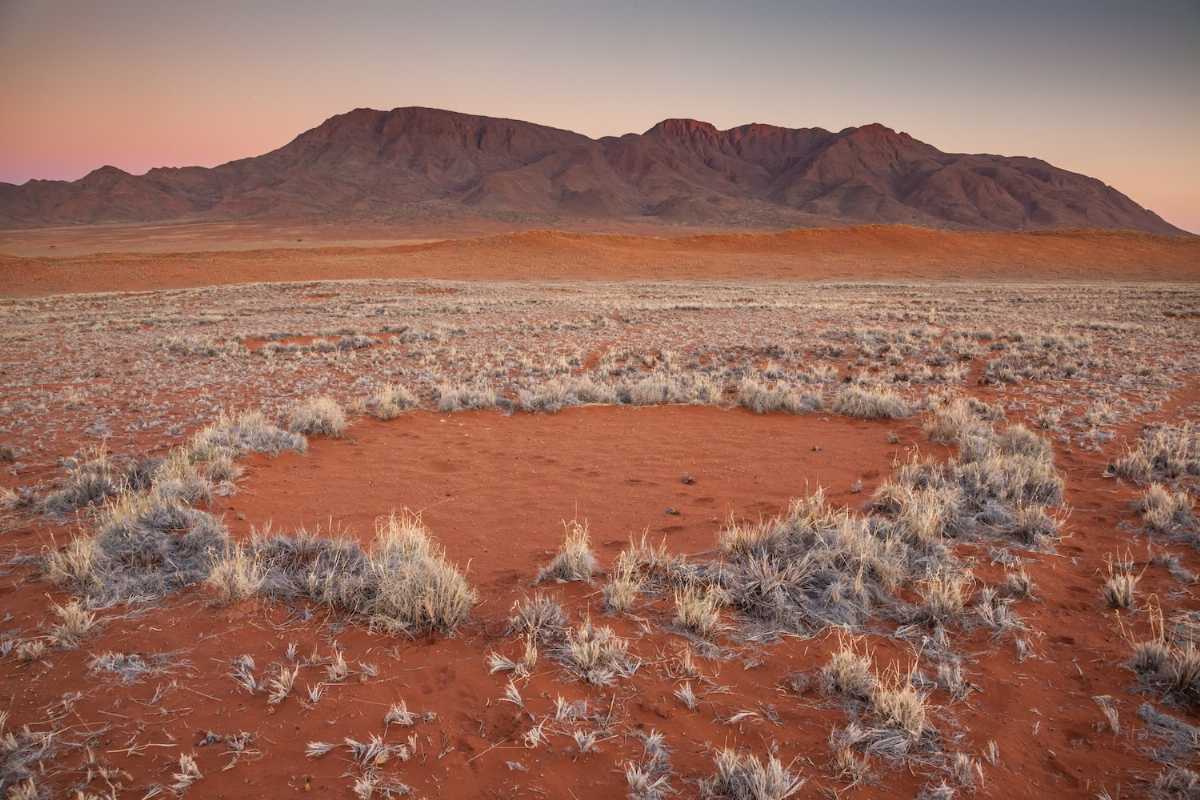 Fairy Circles