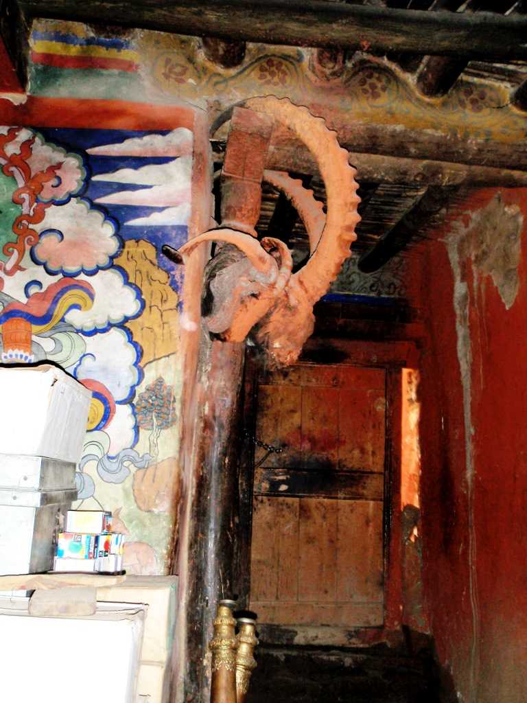 Ibex and Blue Sheep Horns in a Ladakh Monastery