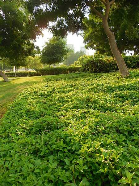 heritage park abu dhabi