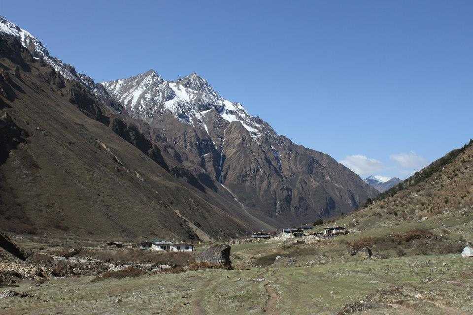 Jigme Dorji National Park