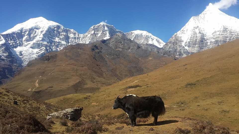 Jigme Dorji National Park