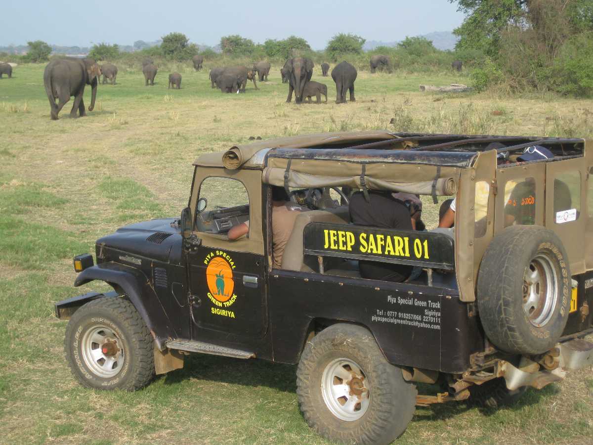 periyar tours and jeep safari