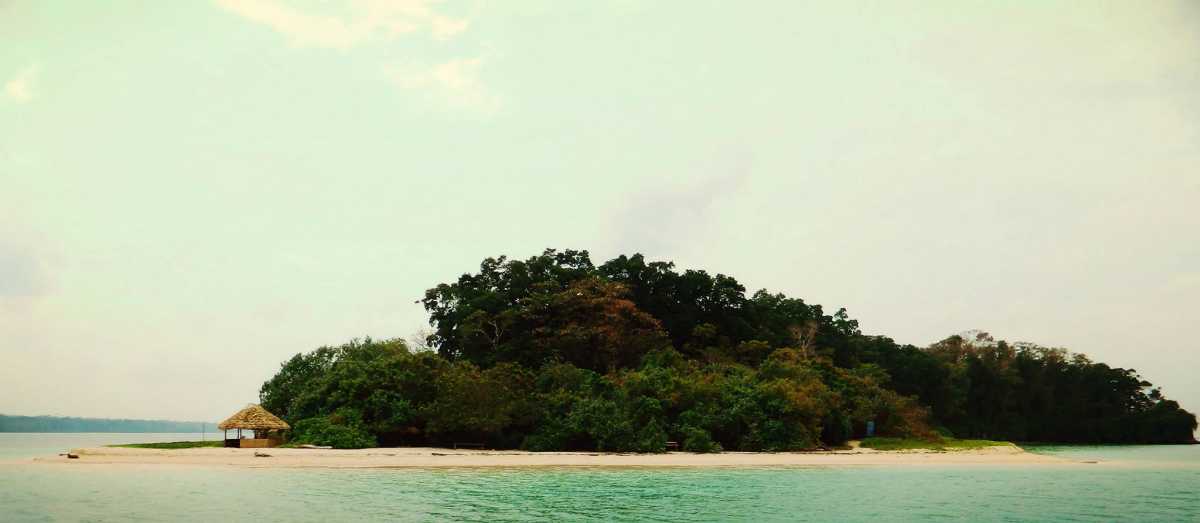 Jolly Buoy Biodiversity